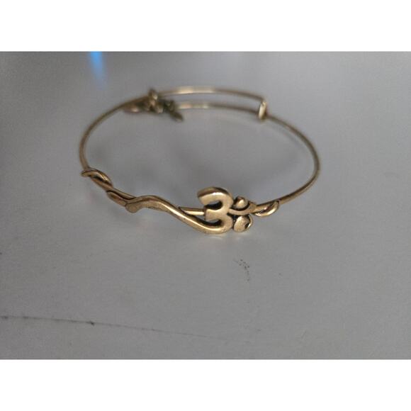Alex and Ani Rafaelian Gold Horizontal Om Wrap Bangle Bracelet - Picture 3 of 4